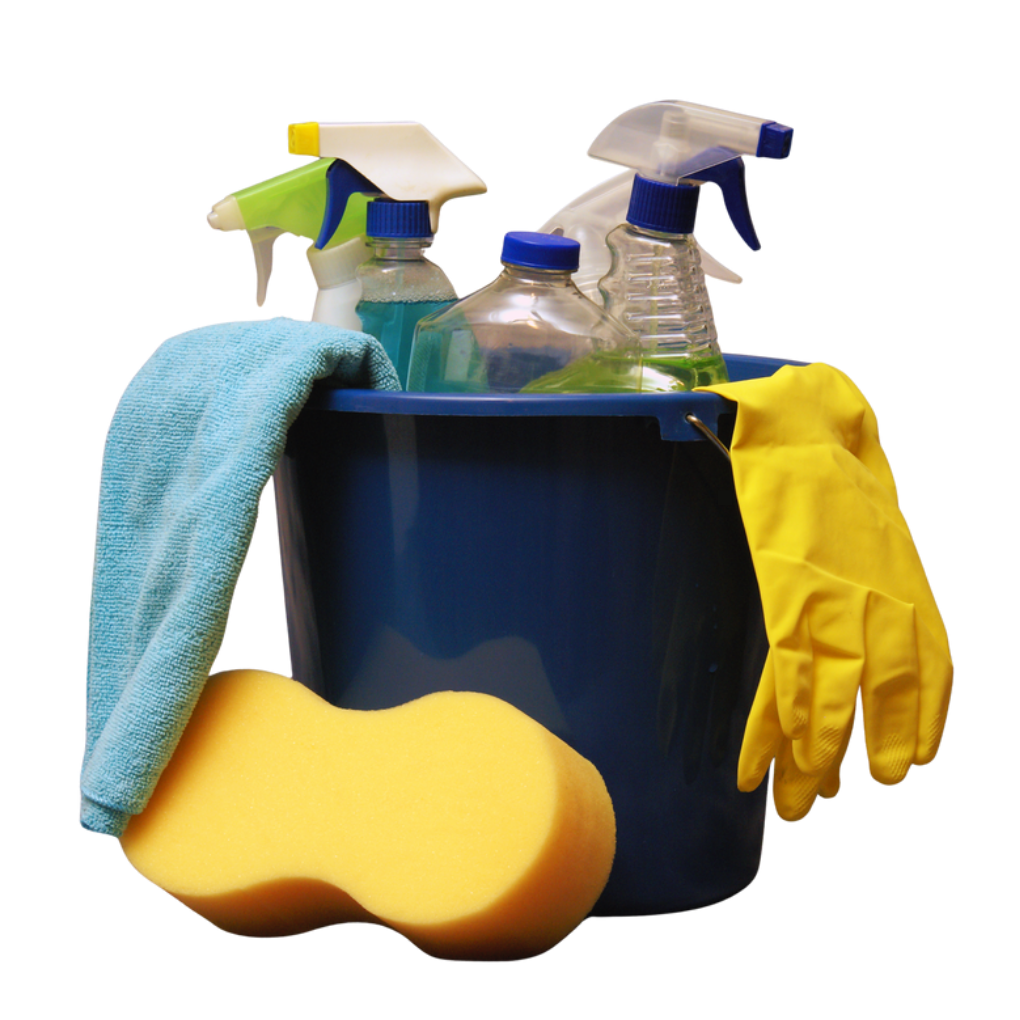 #1 Landing Page (Desktop) (1-2 Grade)